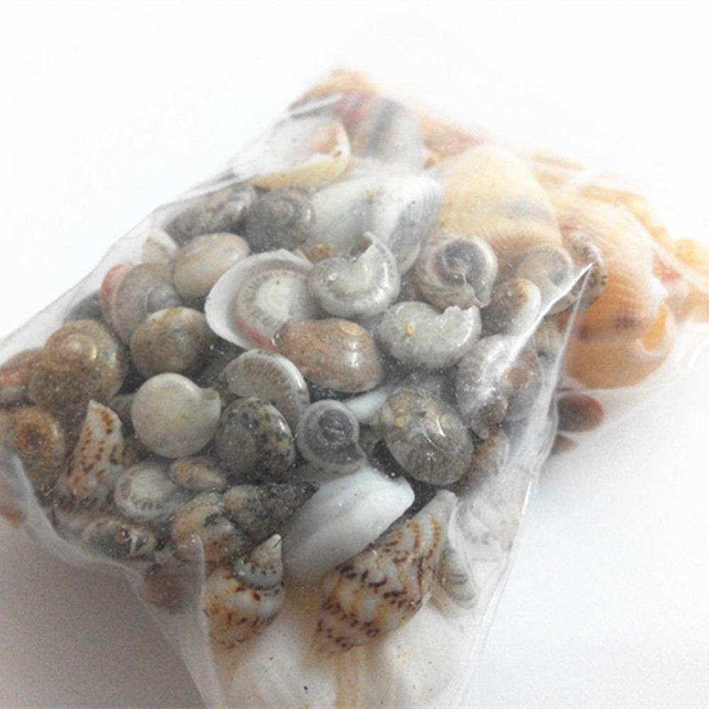 40PCS Mixed Ocean Sea shells