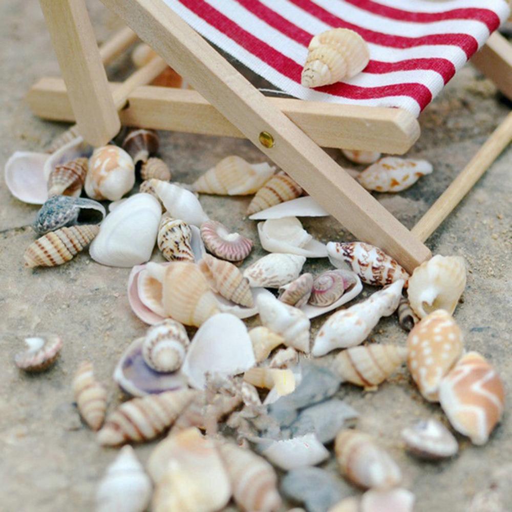 40PCS Mixed Ocean Sea shells