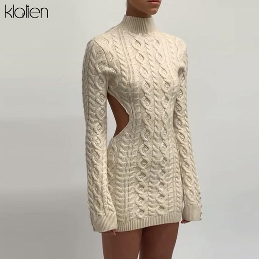 Solid Turtleneck Sweater Dress